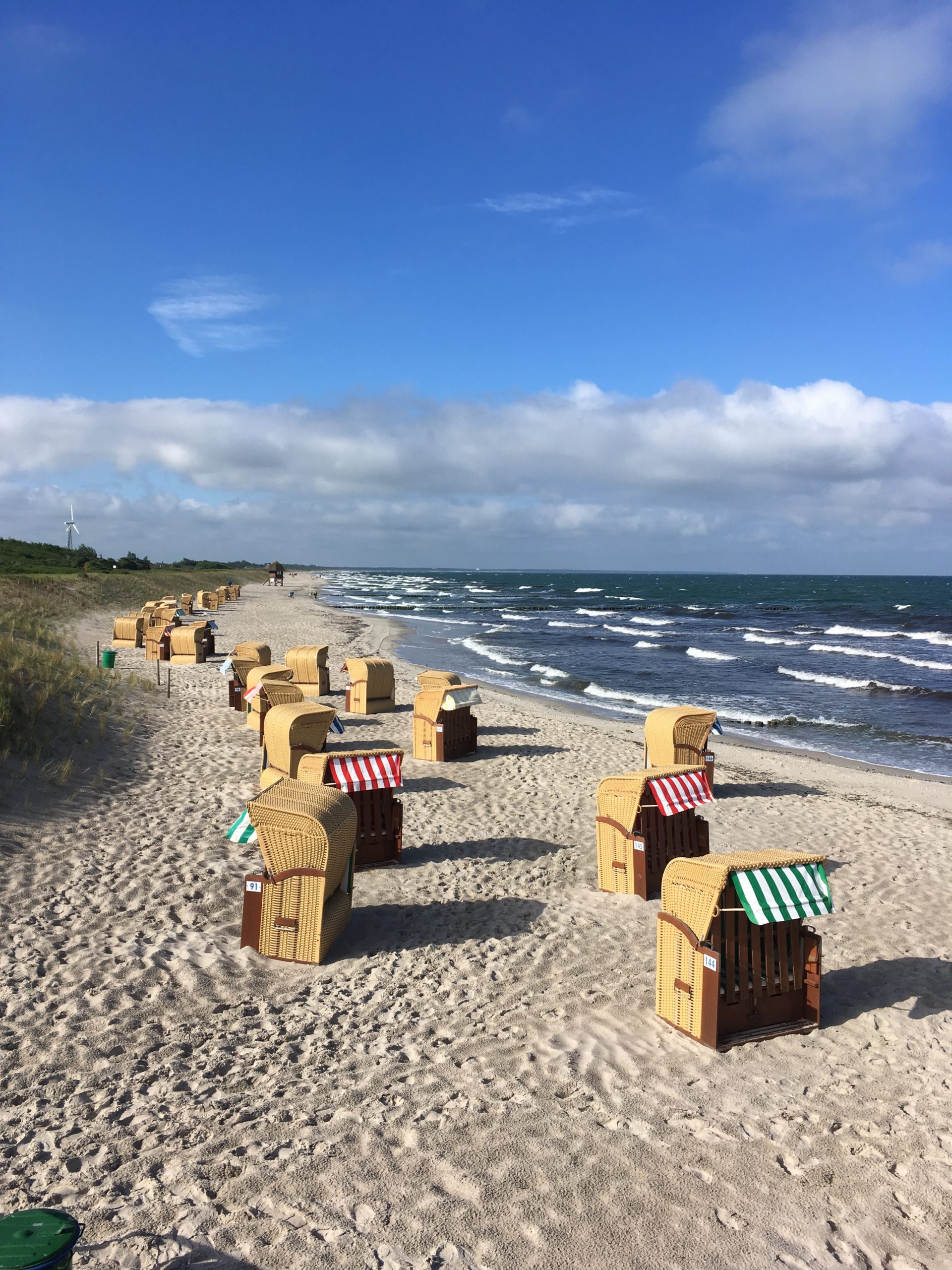 bernd-dittrich-tfNftTDIBEs-unsplash