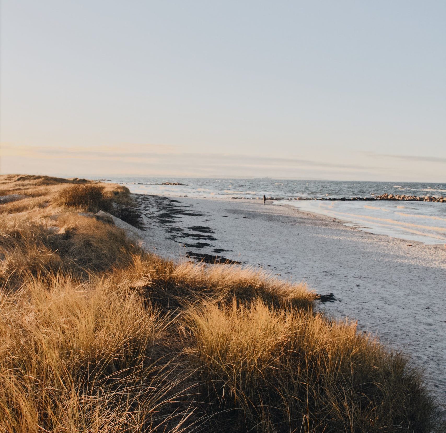 katharina-bill-g1MiCwvnYTI-unsplash