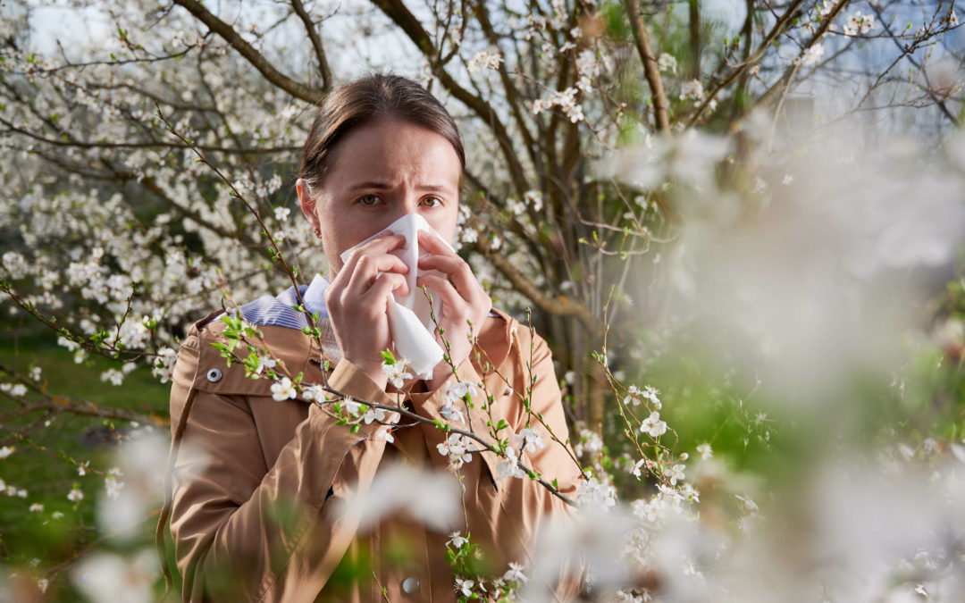 Was haben Pollenflug und Frühblüher-Allergie gemeinsam?