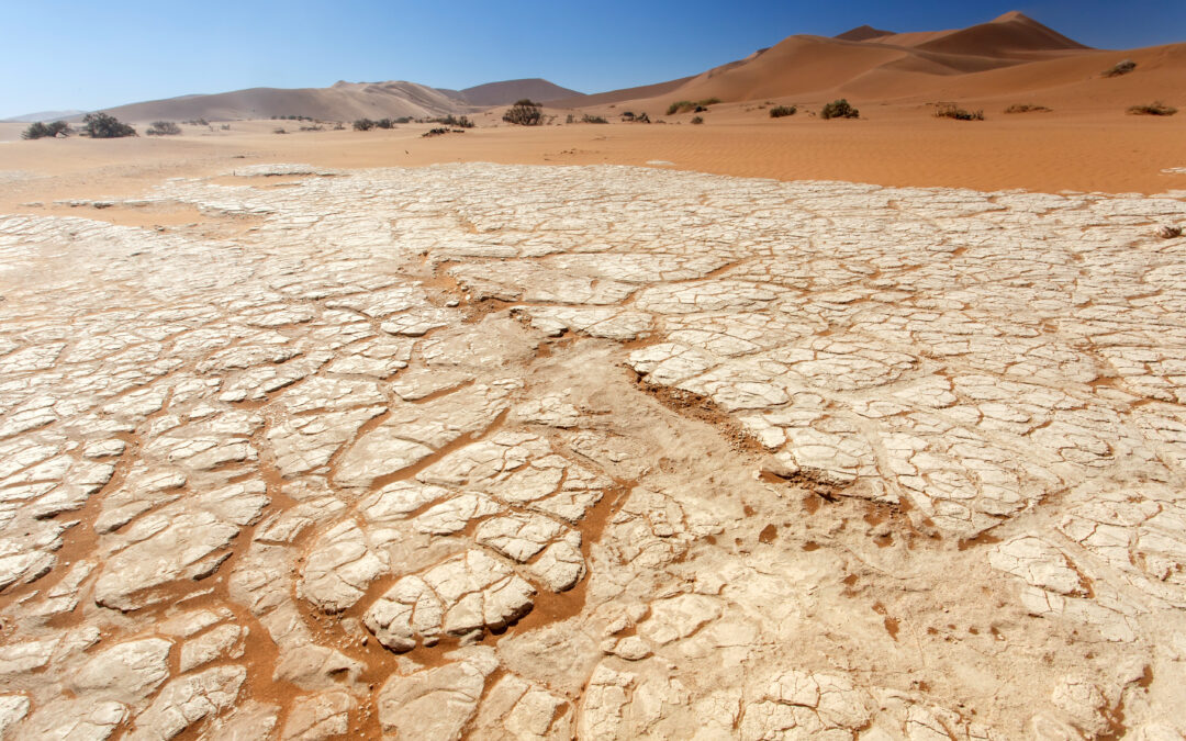 Wenn Deine Schleimhäute rebellieren
